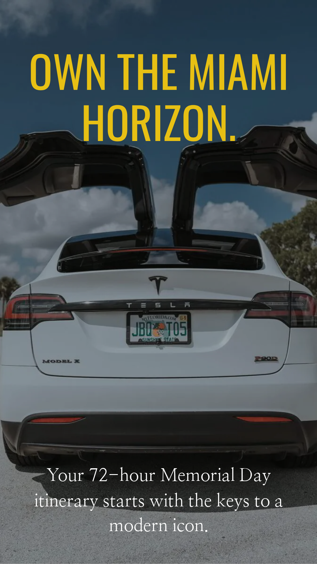 305 Luxury Rentals